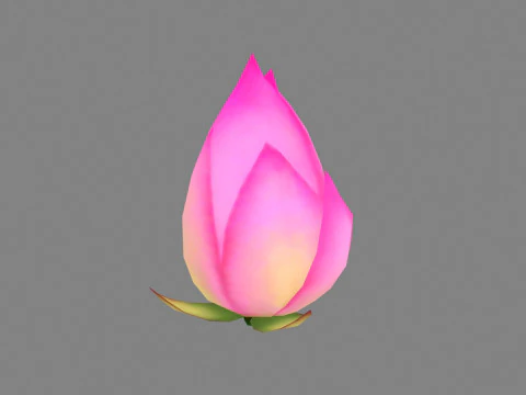 Kuncup teratai ungu - Kartun teratai Model 3D