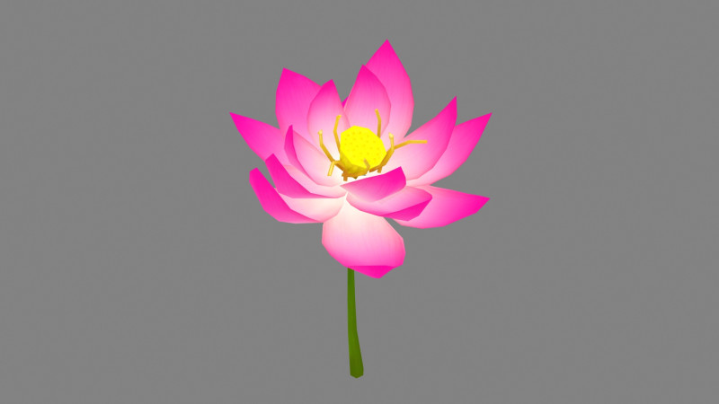 A purple lotus - Cartoon lotus - Open stamens 3D Model .c4d .max .obj .3ds .fbx .stl .blend 