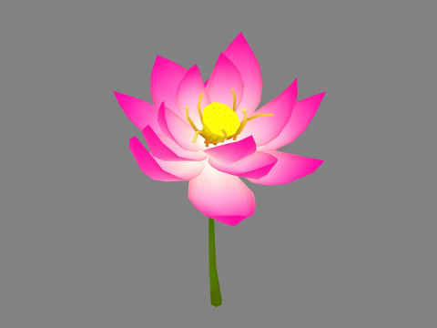A purple lotus - Cartoon lotus - Open stamens 3D Model