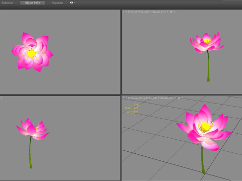 A purple lotus - Cartoon lotus - Open stamens 3D Model