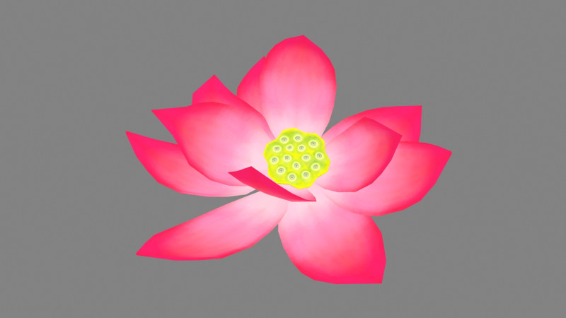A red lotus - Cartoon lotus - Open stamens 3D मॉडल .c4d .max .obj .3ds .fbx .stl .blend 