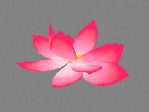 A red lotus - Cartoon lotus - Open stamens 3D Model
