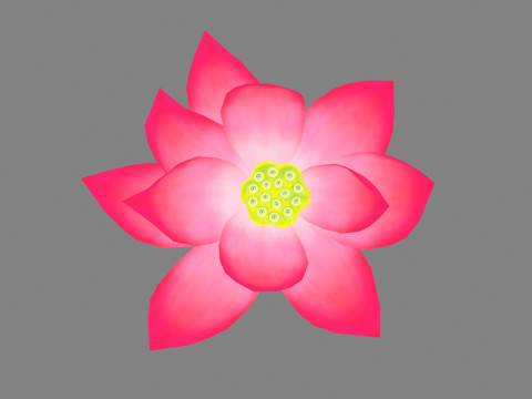 A red lotus - Cartoon lotus - Open stamens 3D मॉडल