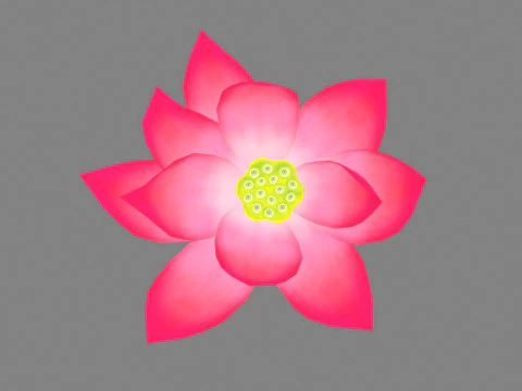 A red lotus - Cartoon lotus - Open stamens 3D Model