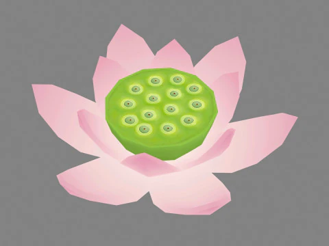 Teratai merah muda - Teratai kartun - Benang sari terbuka Poli rendah Model 3D