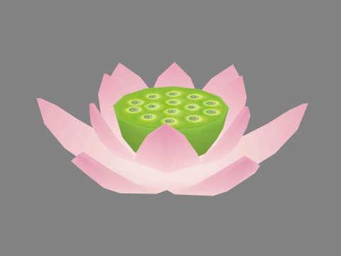 A pink lotus - Cartoon lotus - Open stamens Low-poly 3D Model