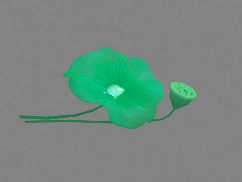 Daun teratai kartun dan biji teratai Model 3D
