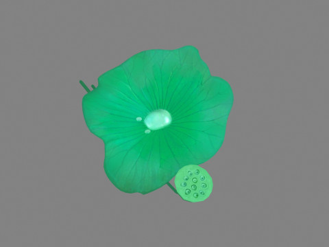 Cartoon lotus leaf and lotus seedpod 3D मॉडल