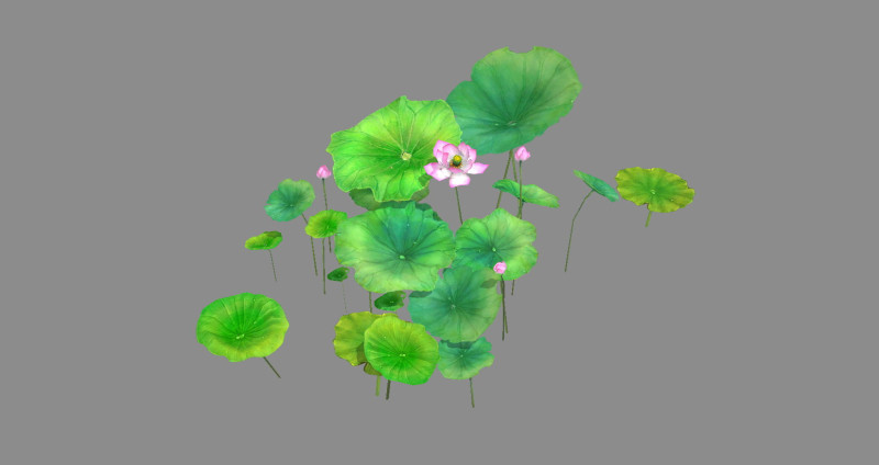 Cartoon lotus flowers and lotus leaves - A 3D 모델 .c4d .max .obj .3ds .fbx .stl .blend 