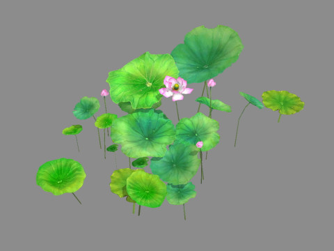Cartoon lotus flowers and lotus leaves - A 3D Model