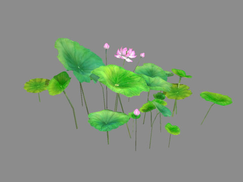 Cartoon lotus flowers and lotus leaves - A 3D 모델