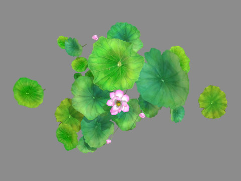 Cartoon lotus flowers and lotus leaves - A 3D 모델