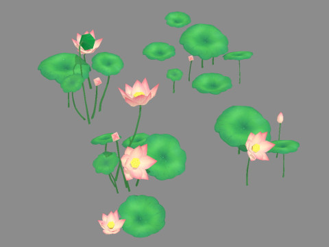 Cartoon lotus flowers and lotus leaves - B 3D Model
