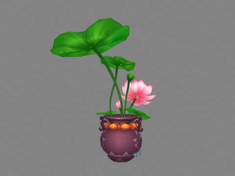 Lotus flowers and lotus leaves planted in wine jars 3D Model