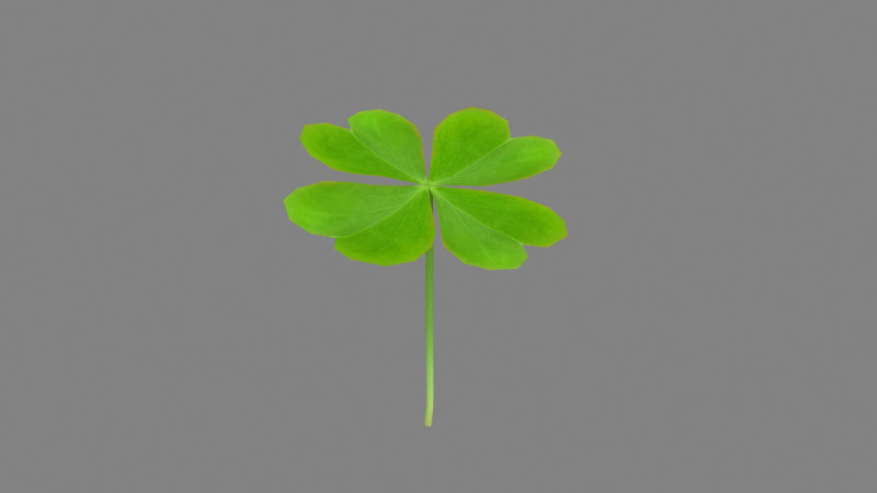 Cartoon shamrock 3D मॉडल .c4d .max .obj .3ds .fbx .stl .blend
