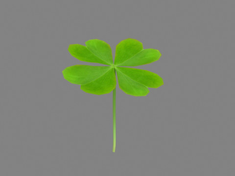 Cartoon shamrock 3D Model