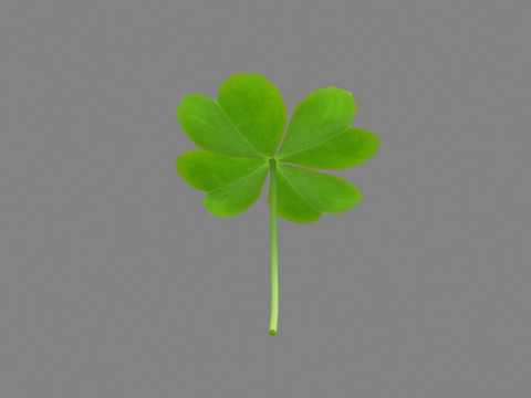 Cartoon shamrock 3D मॉडल