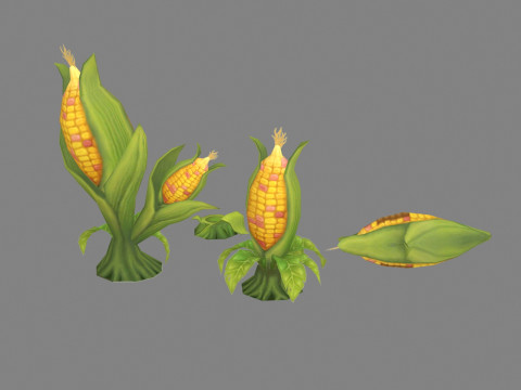 Cartoon Corn plants 3D Model