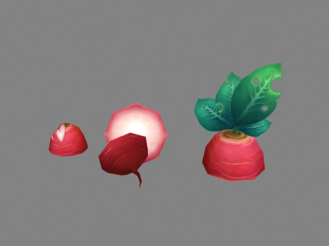 Cartoon Red Raphanus sativus plants 3D Model