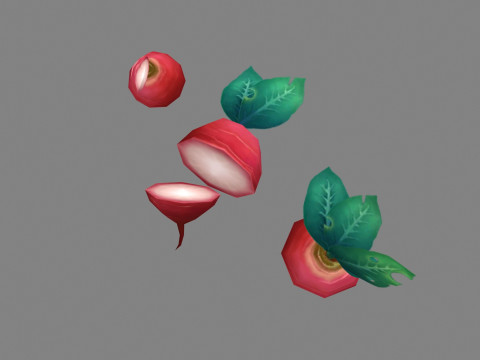Cartoon Red Raphanus sativus plants 3D Model
