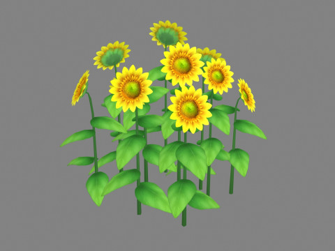 Cartoon Sunflower plants 3D 모델
