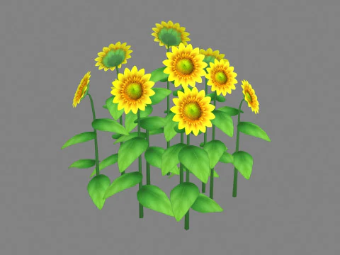 Мультфільм рослини соняшника 3D Модель