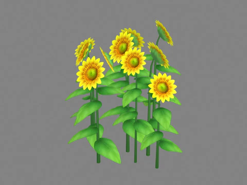 Cartoon Sunflower plants 3D Model