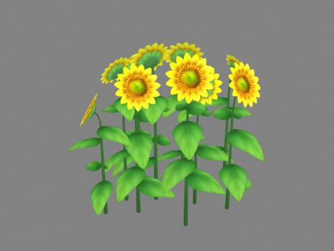 Cartoon Sunflower plants 3D मॉडल