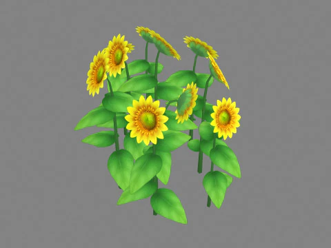 Cartoon Sunflower plants 3D Model