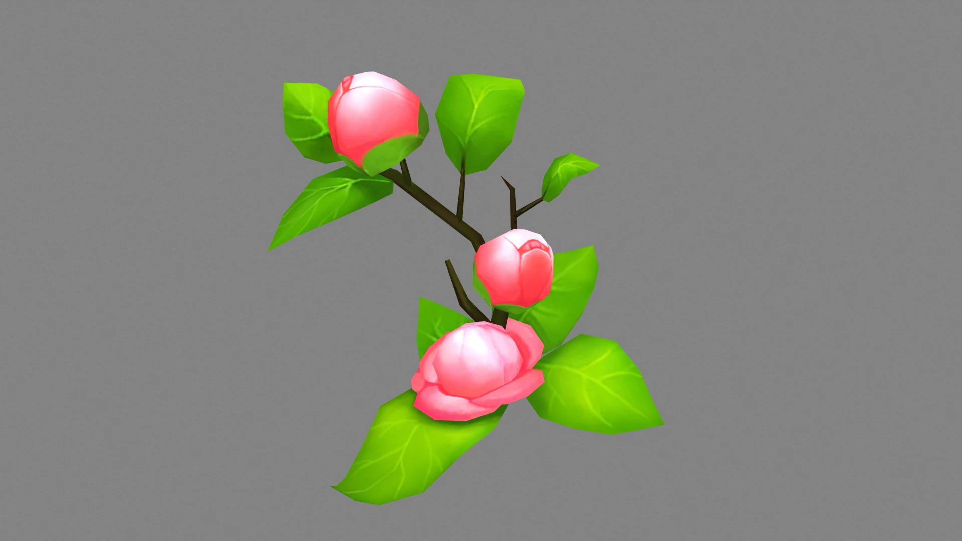 Cartoon Camellia flower 3D Model .c4d .max .obj .3ds .fbx .stl .blend 