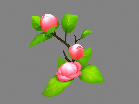 Cartoon Camellia flower 3D Model