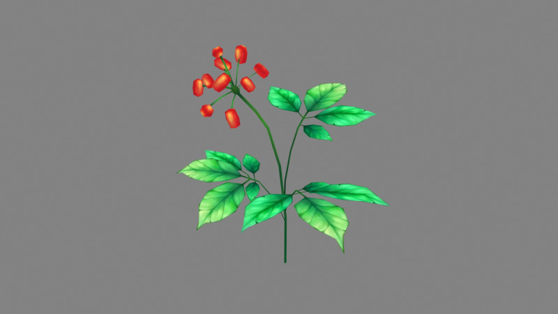 Cartoon berry plants - Flowering herbs 3D Model .c4d .max .obj .3ds .fbx .stl .blend