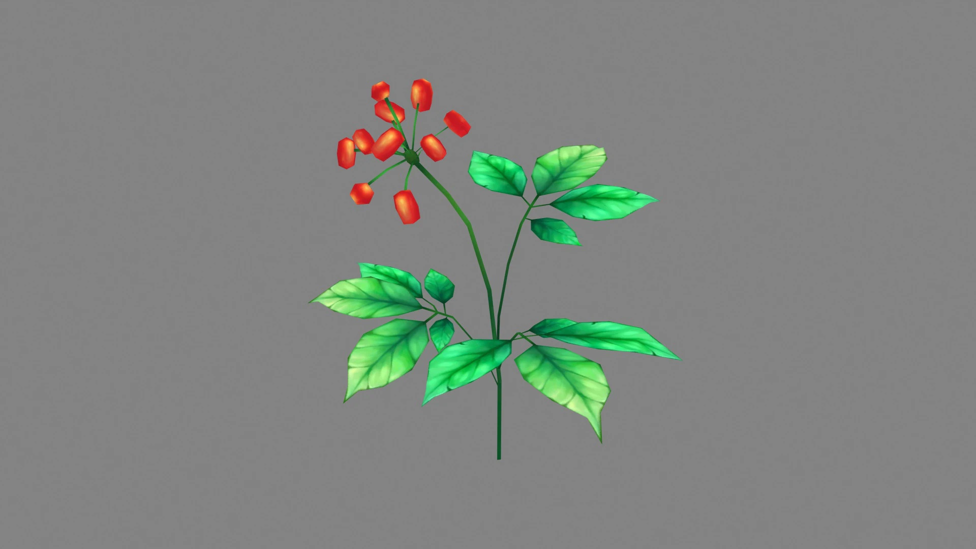 Cartoon berry plants - Flowering herbs 3D Model .c4d .max .obj .3ds .fbx .stl .blend 