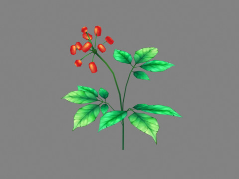 Cartoon berry plants - Flowering herbs 3D Model