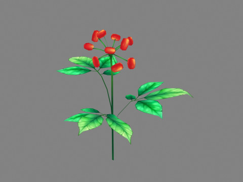 Cartoon berry plants - Flowering herbs 3D Model