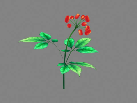 Cartoon berry plants - Flowering herbs 3D Model