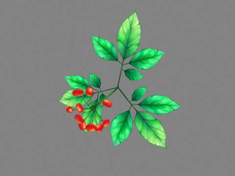 Cartoon berry plants - Flowering herbs 3D Model