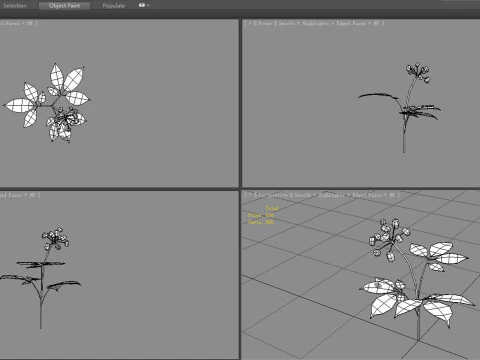 Cartoon berry plants - Flowering herbs 3D Model