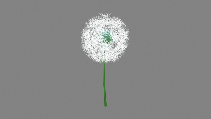 Cartoon seed balls - Dandelion seeds - taraxacum seed 3D Model .c4d .max .obj .3ds .fbx .stl .blend 