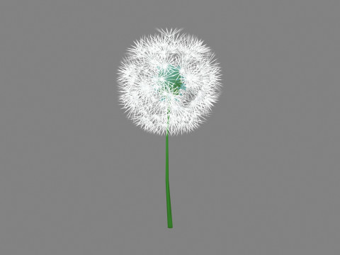 Cartoon seed balls - Dandelion seeds - taraxacum seed 3D Model