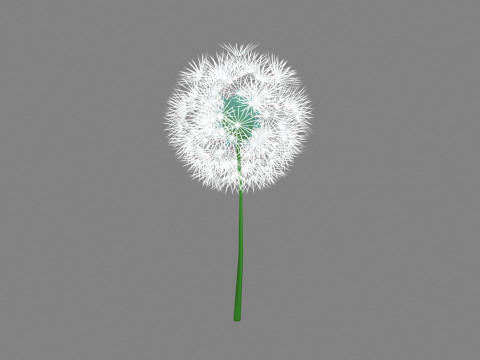 Cartoon seed balls - Dandelion seeds - taraxacum seed 3D Model