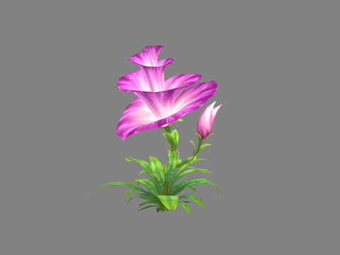 Purple morning glory - cartoon flower plant - trumpet flower Model 3D