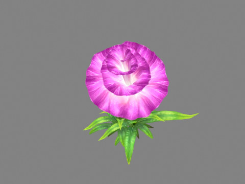 Purple morning glory - cartoon flower plant - trumpet flower Model 3D