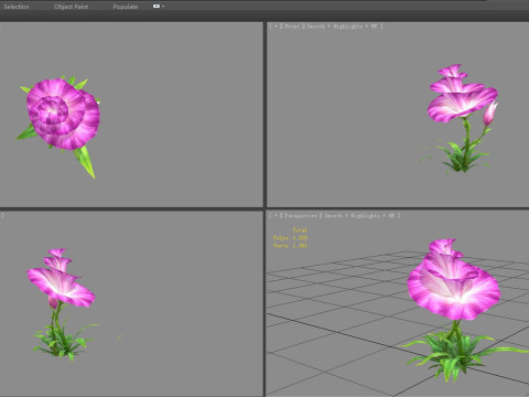 Purple morning glory - cartoon flower plant - trumpet flower Model 3D