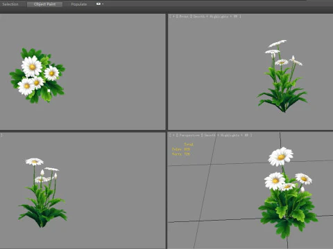 Cartoon daisies plant - white flower - daisy - chrysanthemum 3D Model