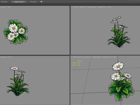Cartoon daisies plant - white flower - daisy - chrysanthemum 3D Модель