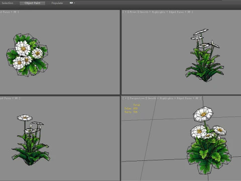 Cartoon daisies plant - white flower - daisy - chrysanthemum 3D Model