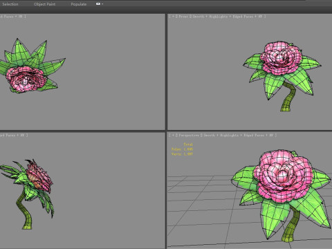 A peony flower plant - Cartoon roses 3D Model