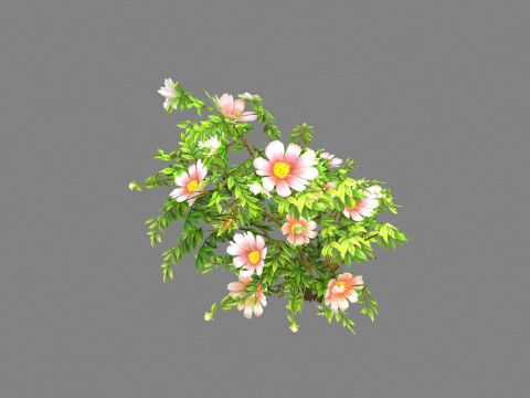 Cartoon flower plant bush Modello 3D