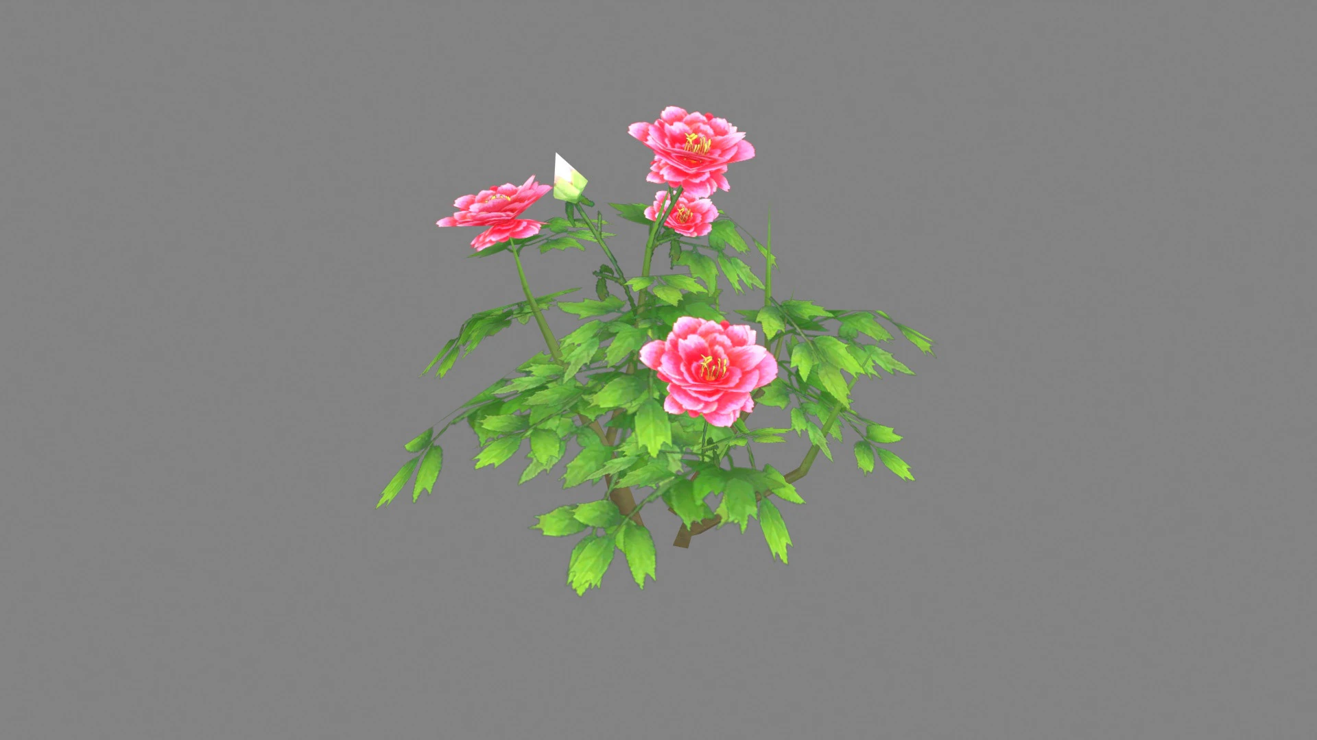 A rose plant Low-poly 3D Model .c4d .max .obj .3ds .fbx .stl .blend 